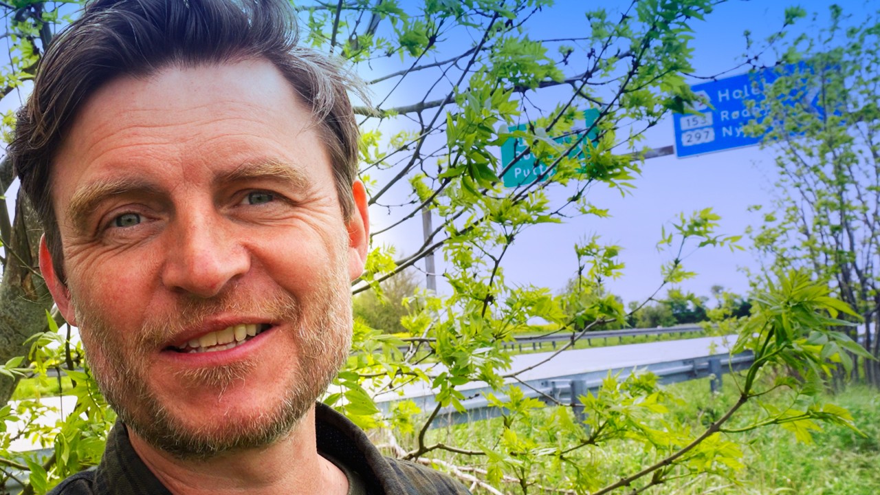 Spot på Lolland og Falster