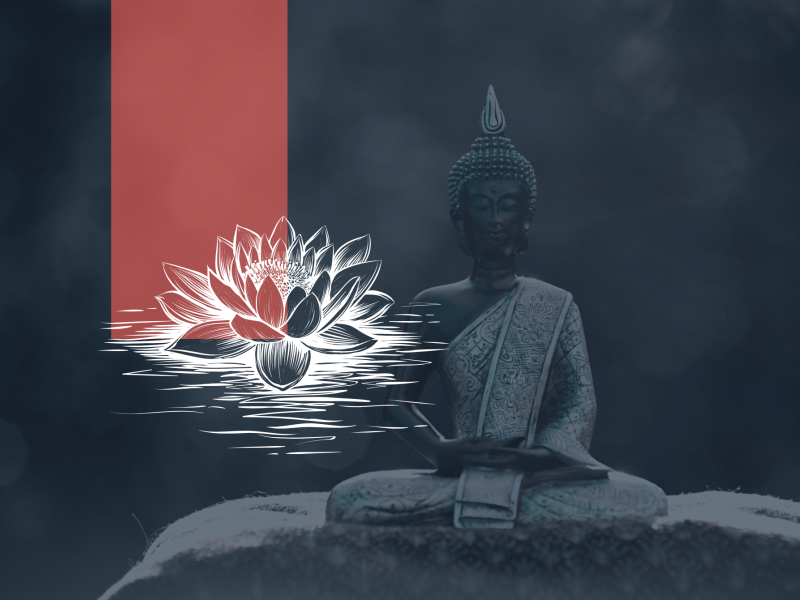 Grafik The White Lotus til FB CMS