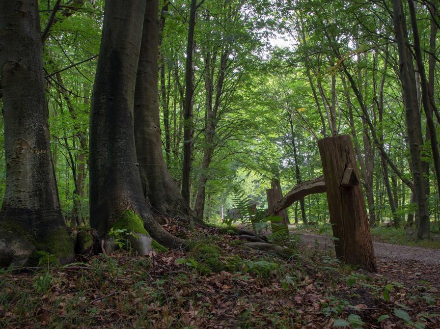 Krenkerup Skov